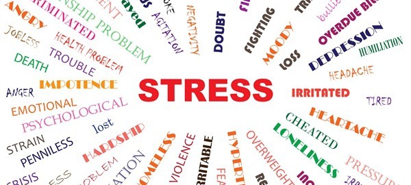 Stress Detection Icon